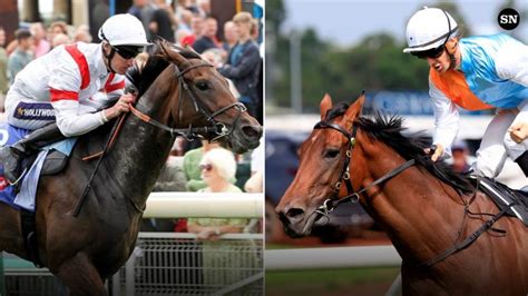 Melbourne Cup 2022 betting guide: Tips, runner.